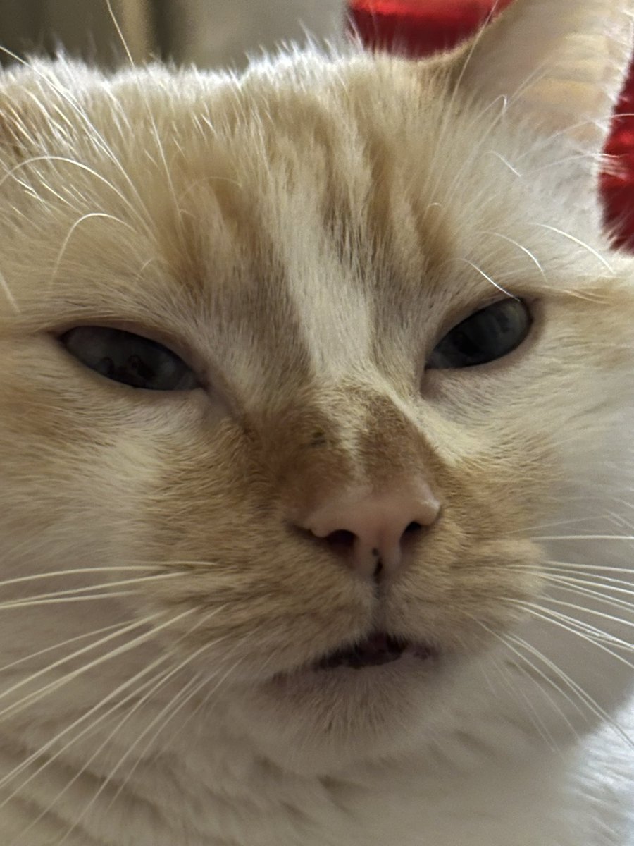 latte cœur lpb tweet media