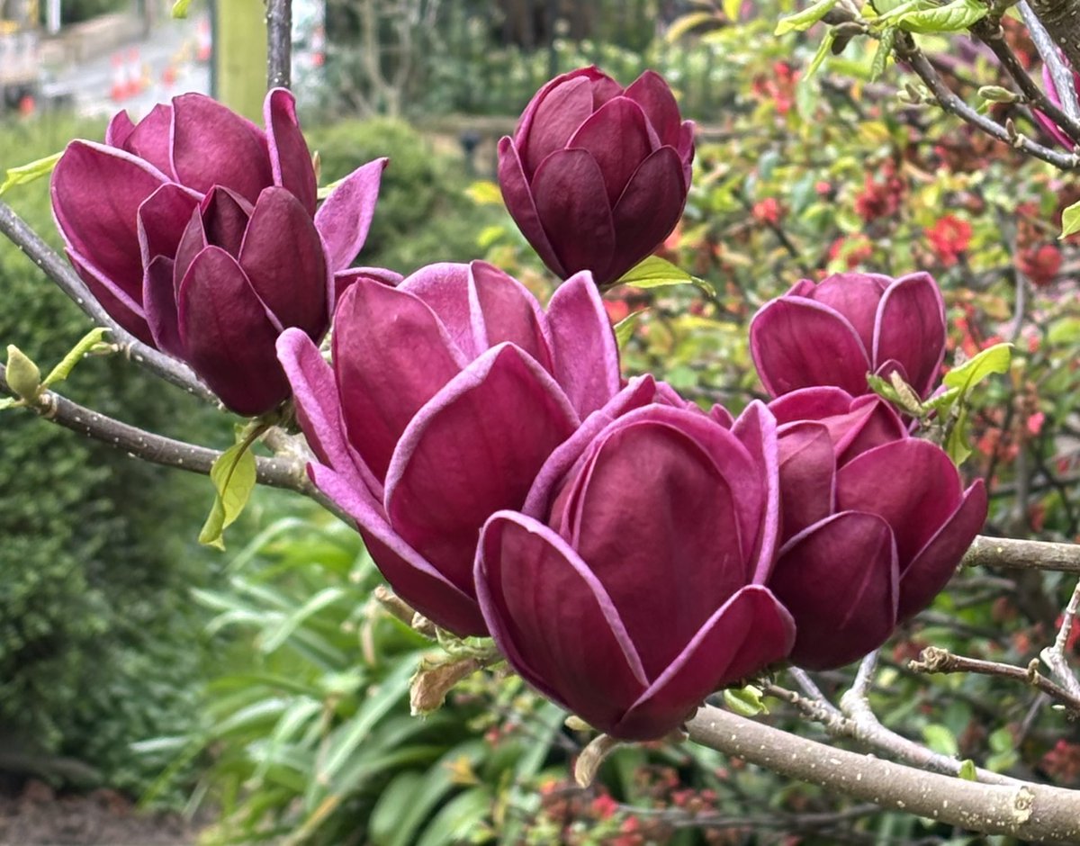 Alan E Down tweet media