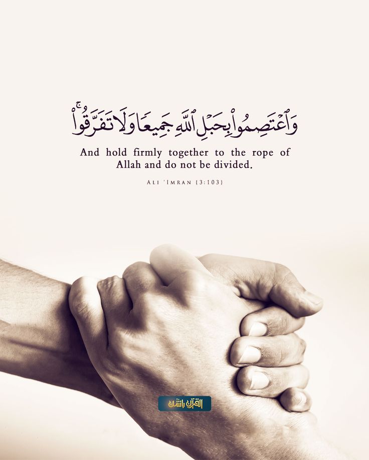 القرآن الکریم tweet media