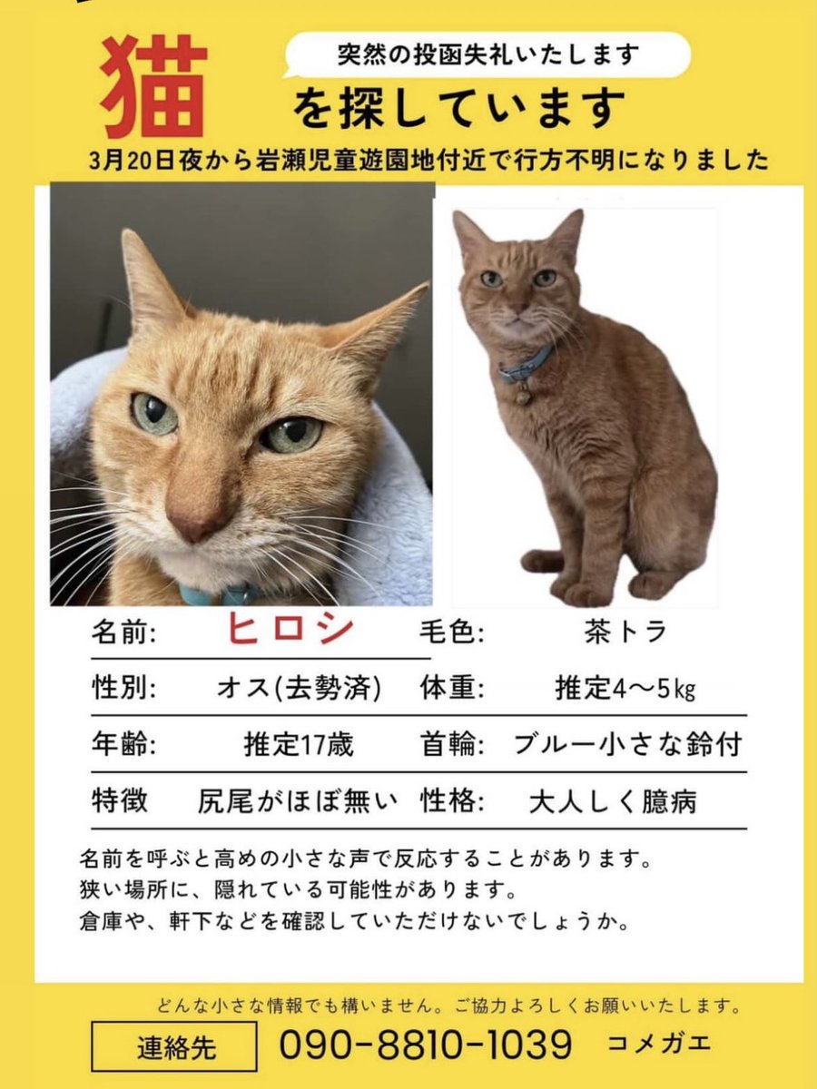 ひでっぴ🐱木更津 tweet media