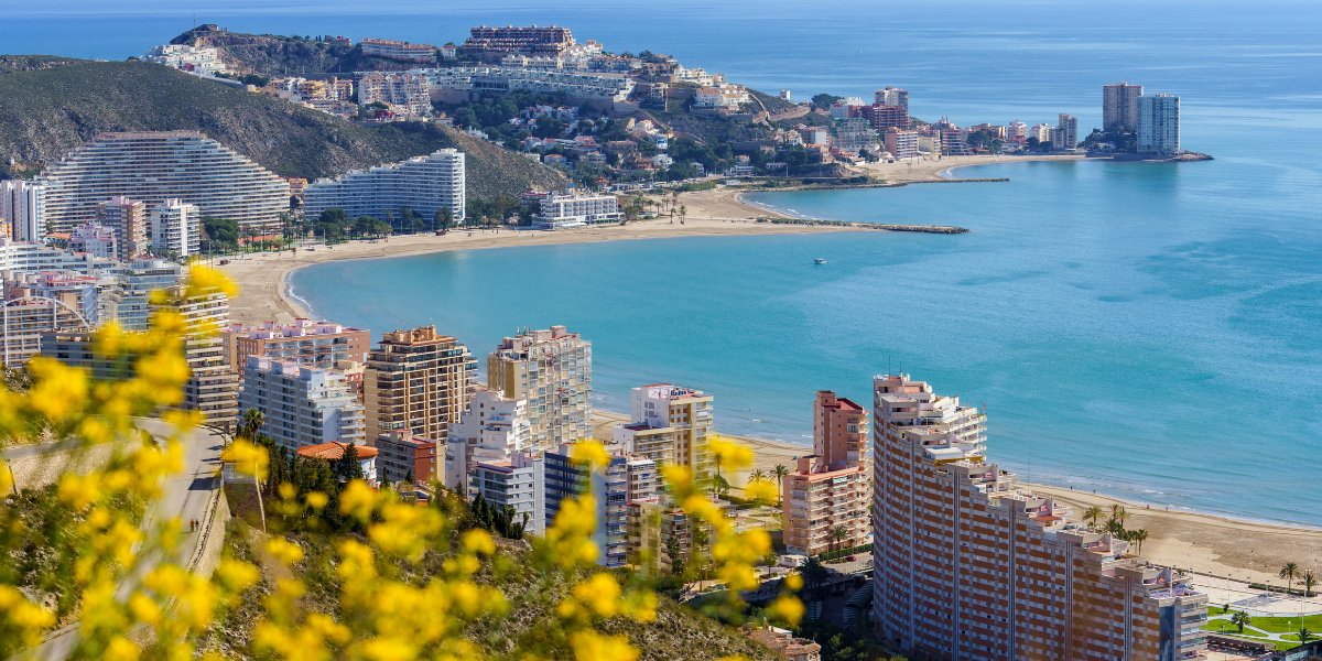 Region of Valencia tweet media