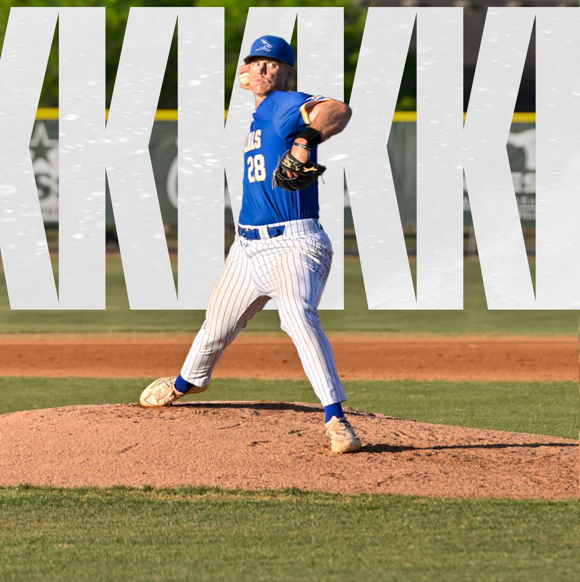 #BackThePack tweet media