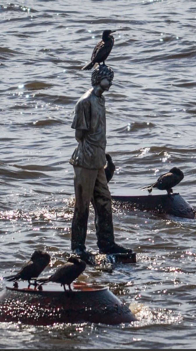 Real Time tweet media