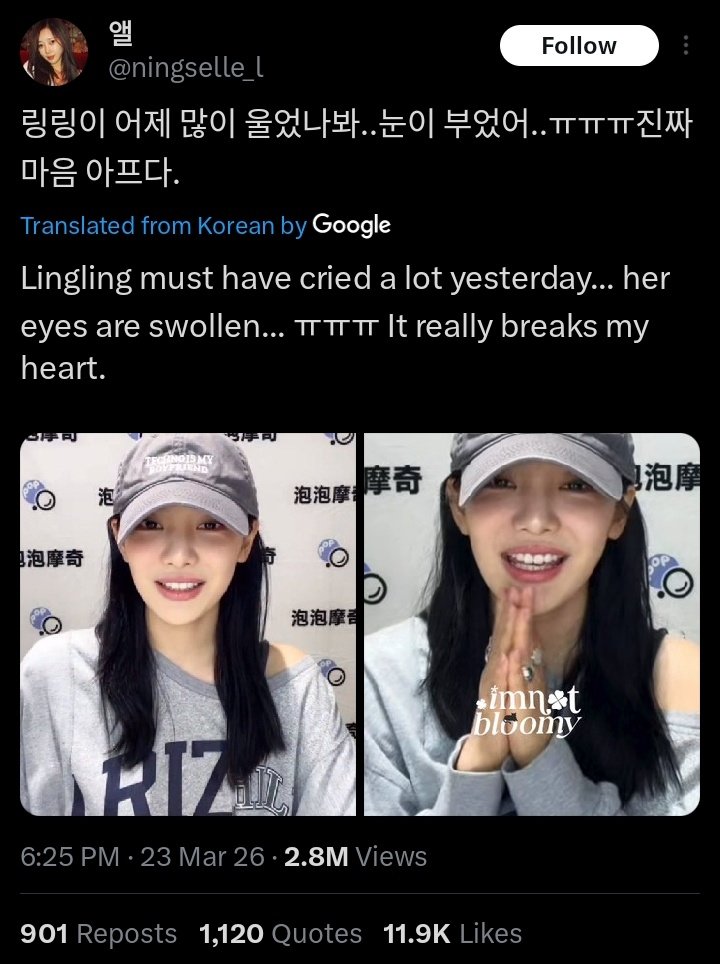 NING YIZHUO PROTECT tweet media