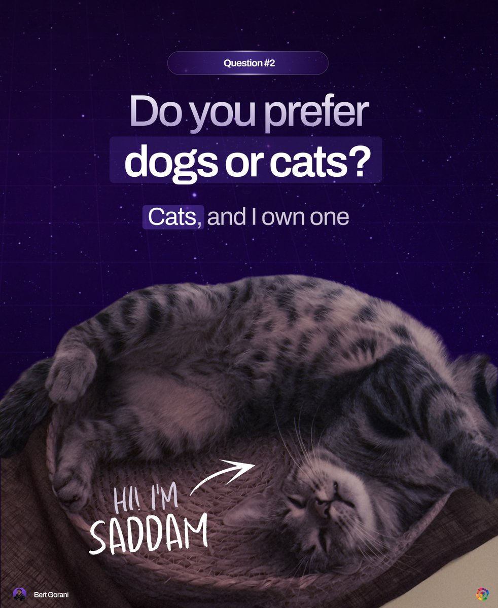 Huemor Designs tweet media