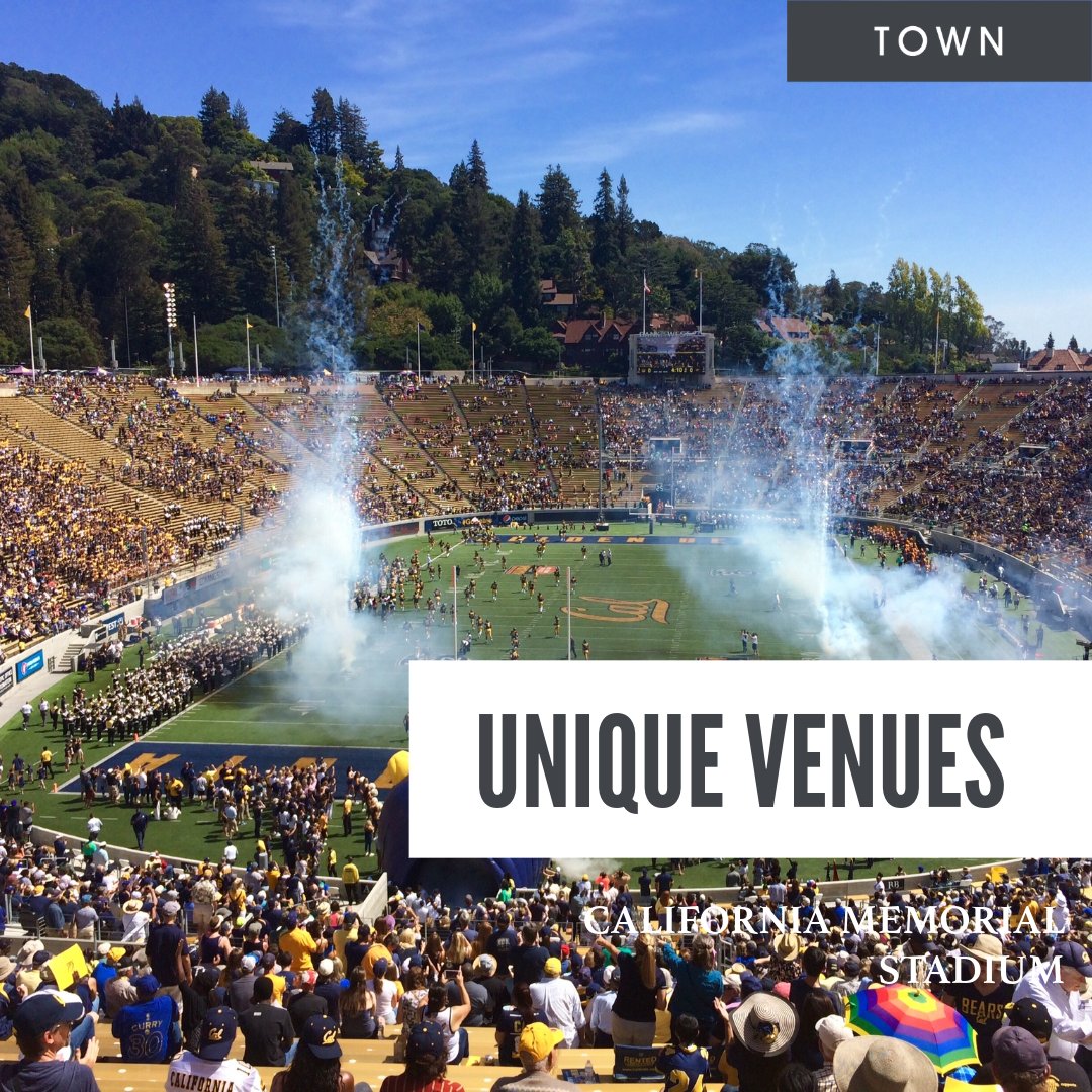 Small Market Meetings tweet media