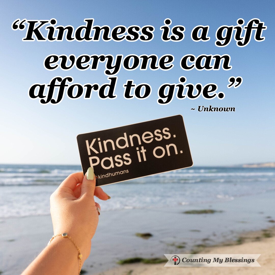 Deb Wolf tweet media