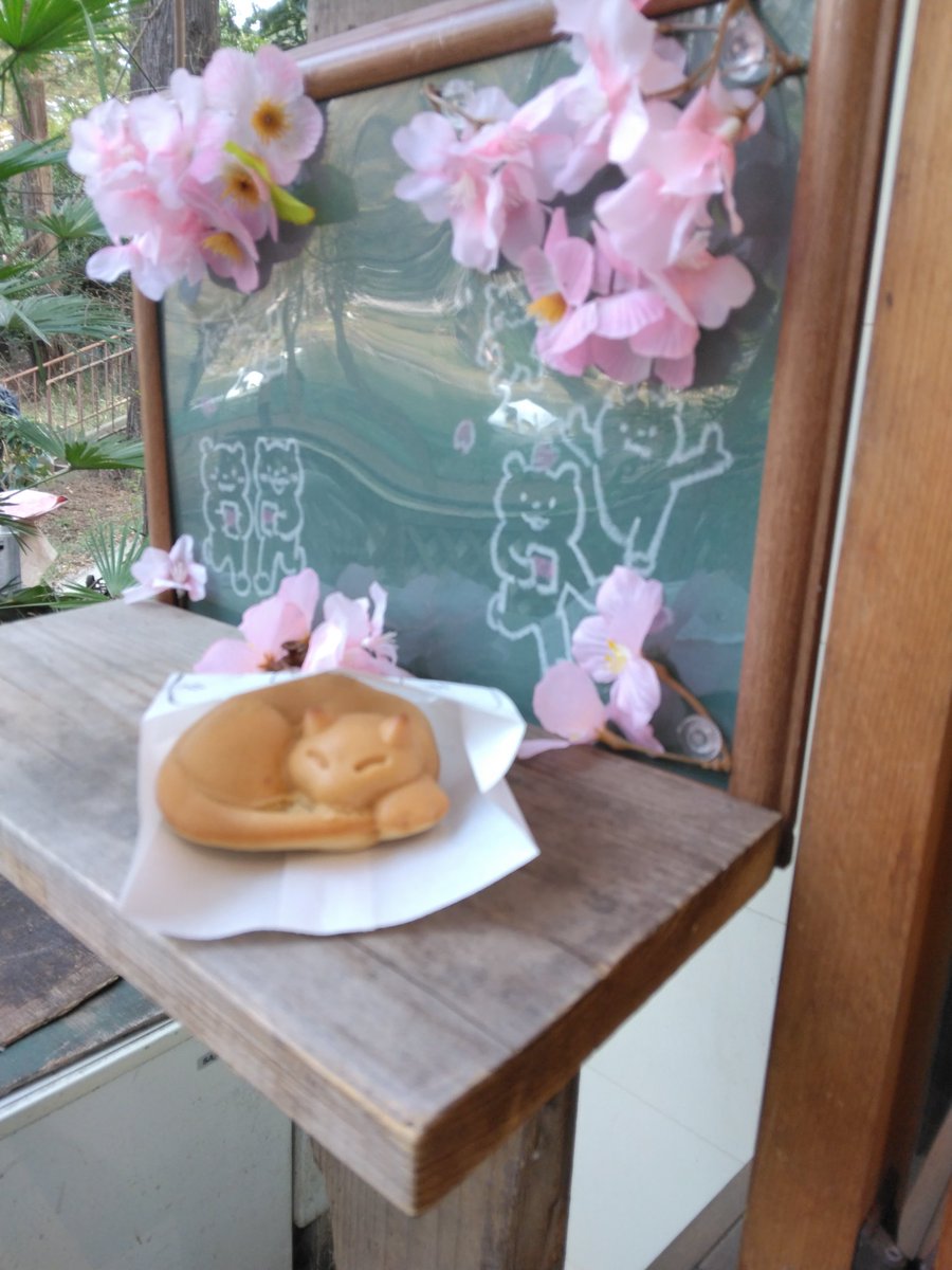 taropy_'s tweet photo. 今日は仕事が半日だったので、午後吉祥寺に花見に行ってきた！
全体的に花が咲いていたのは5割くらいかな。平日だけどスワンもいっぱい出動してたよ。
定番のねこどーなつを食べながらのんびり眺めてきました🌸 https://t.co/XBEwgPbTgK
