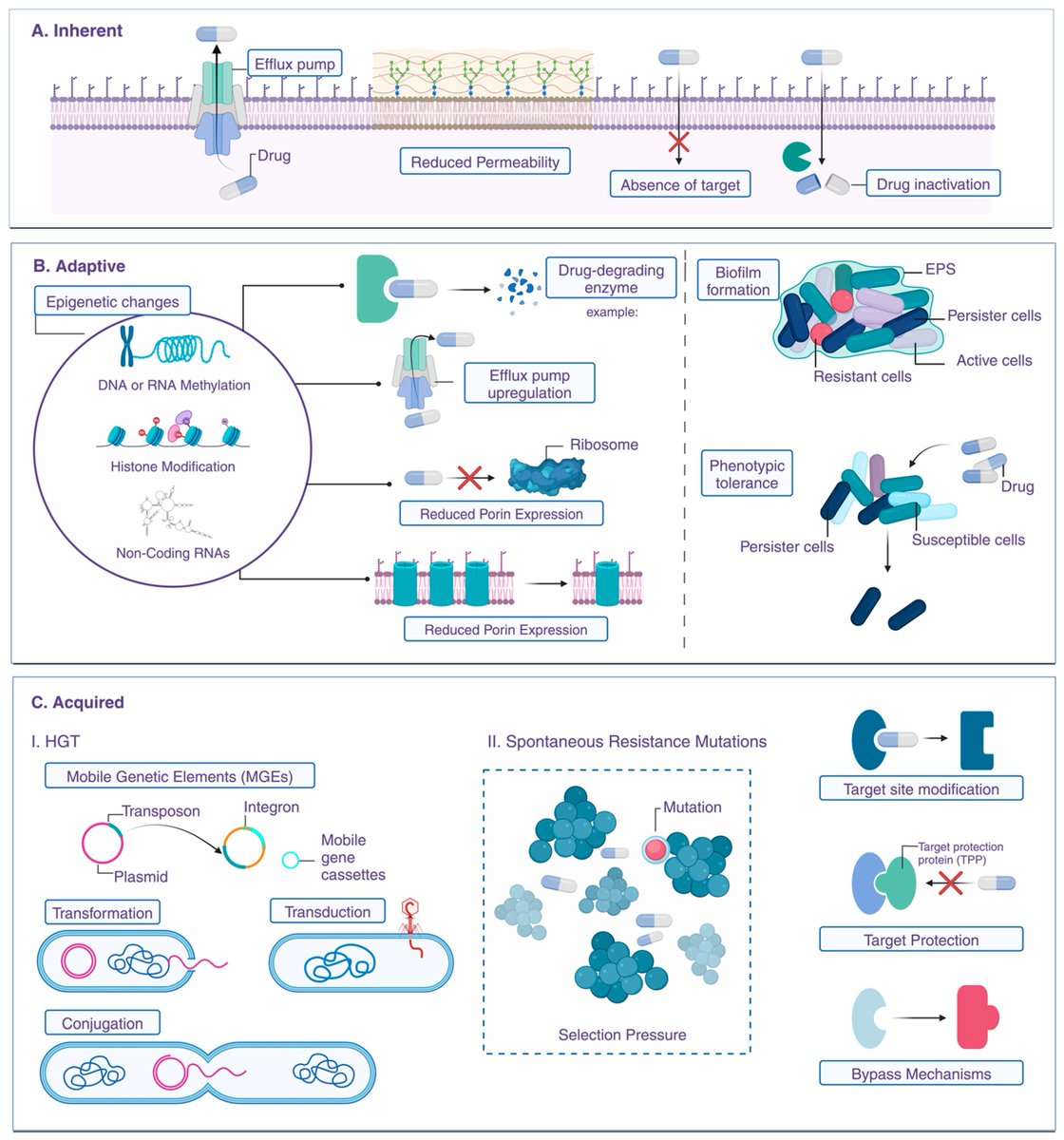 Journal of Nanotheranostics MDPI tweet media