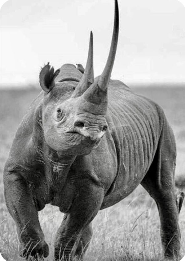 Sue Spurgin tweet media