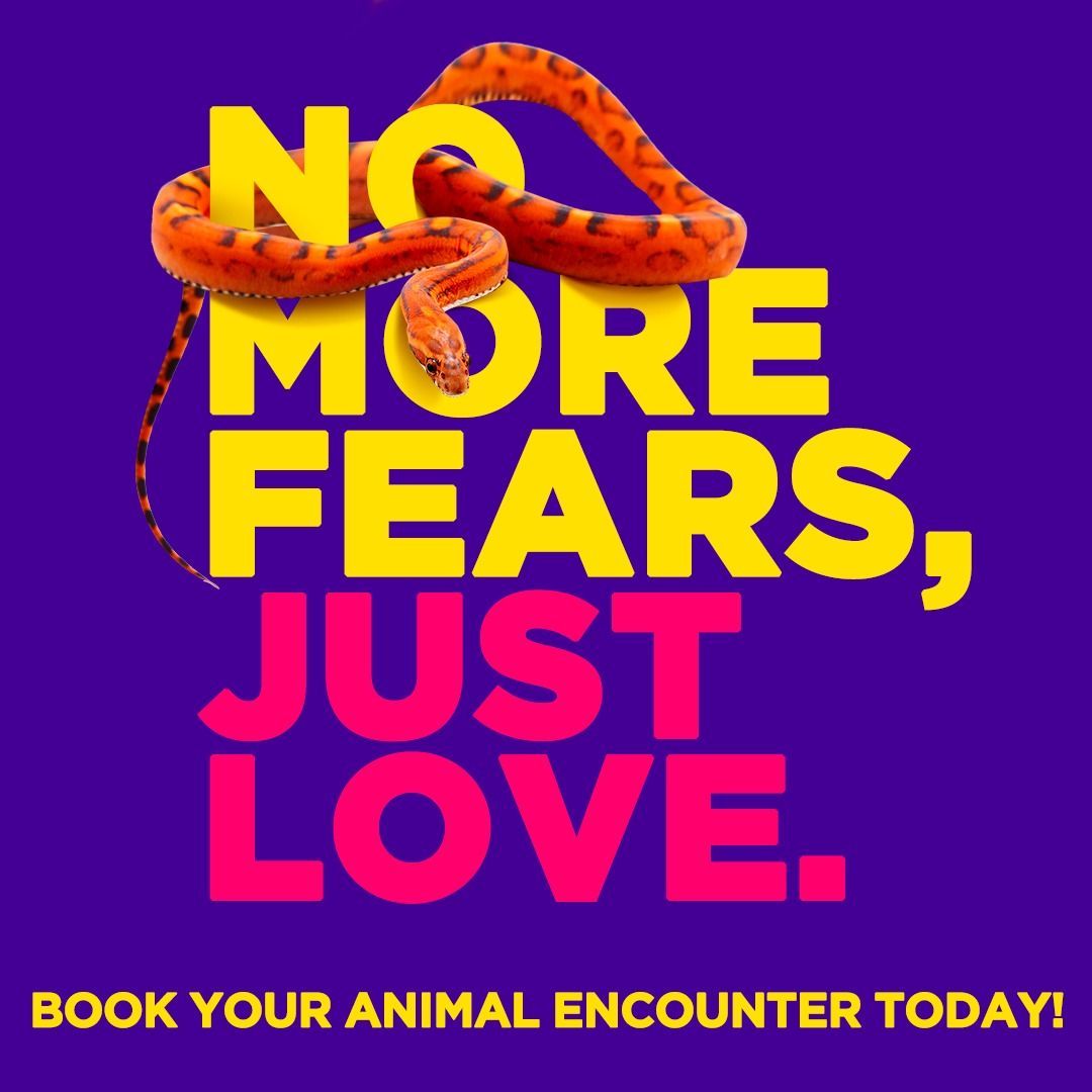 Once In A Wild tweet media