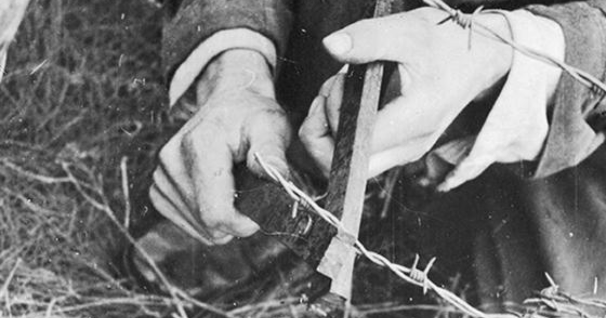 RAF Benevolent Fund tweet media