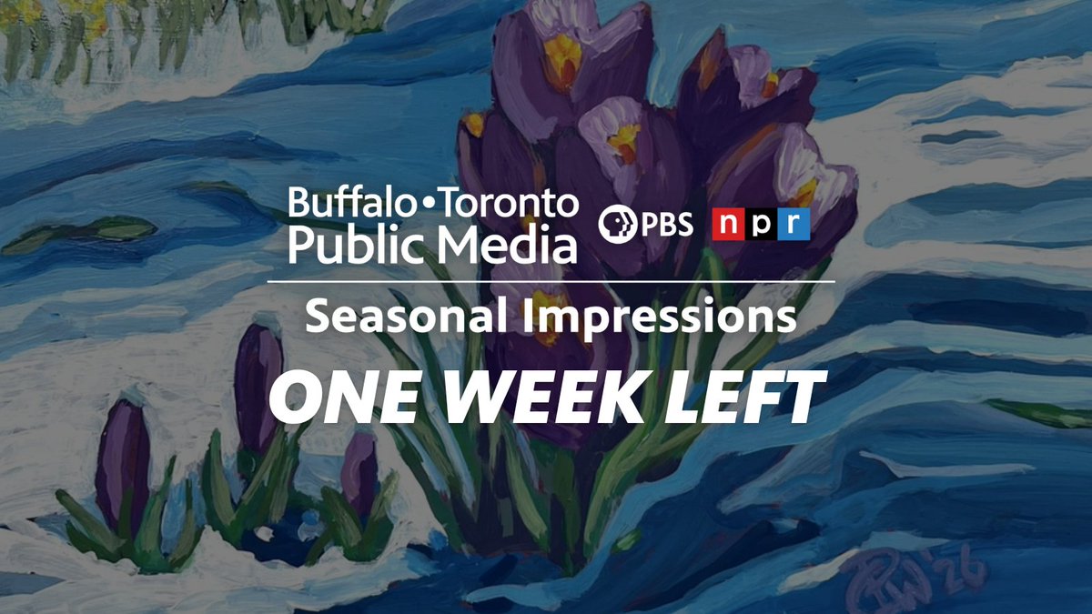 BTPM The Bridge tweet media