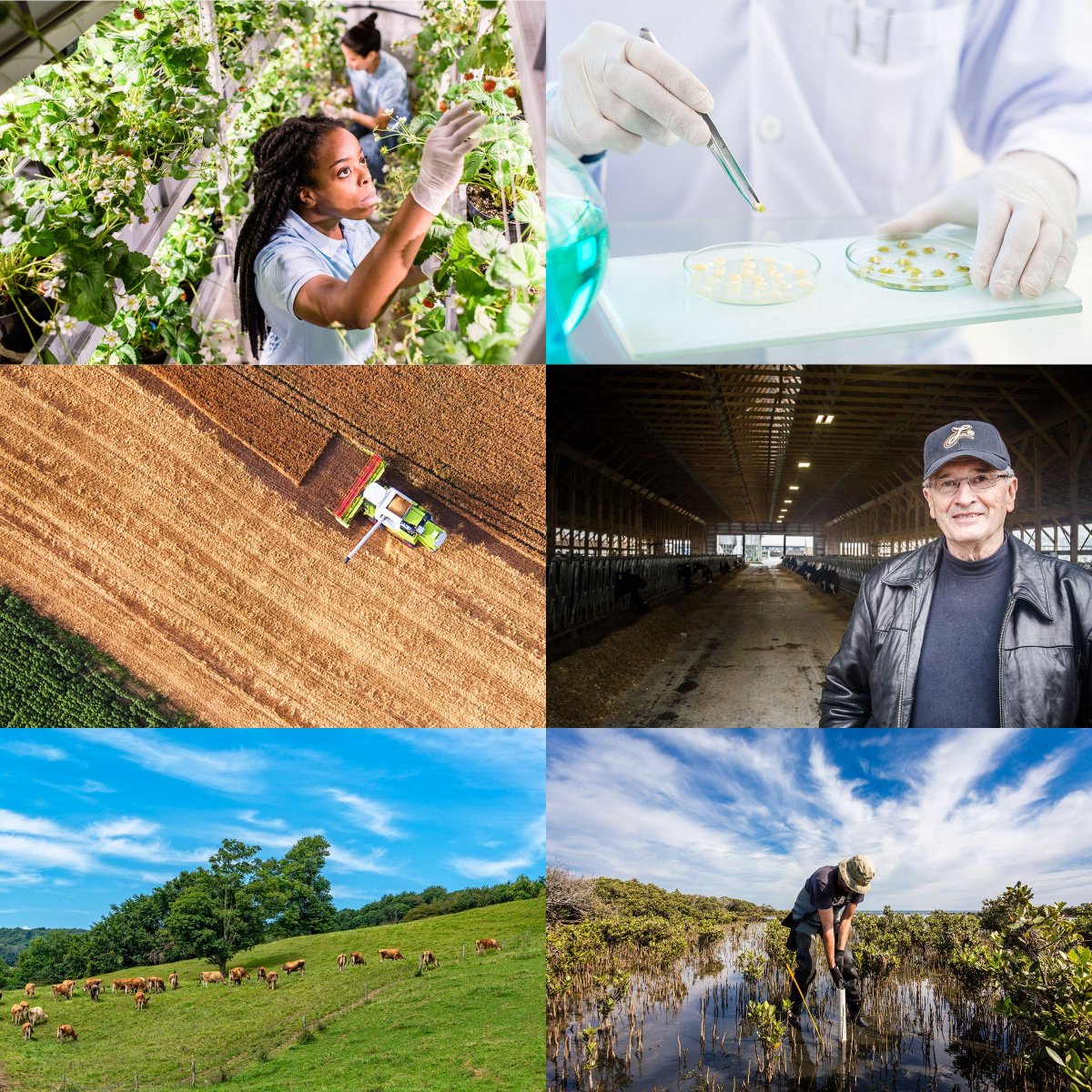 Multistate Research Fund Impacts Program tweet media