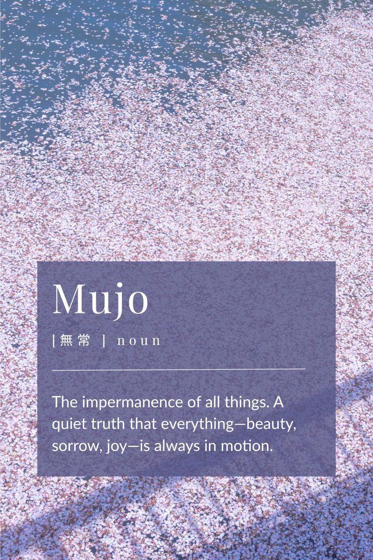 Zen masters tweet media