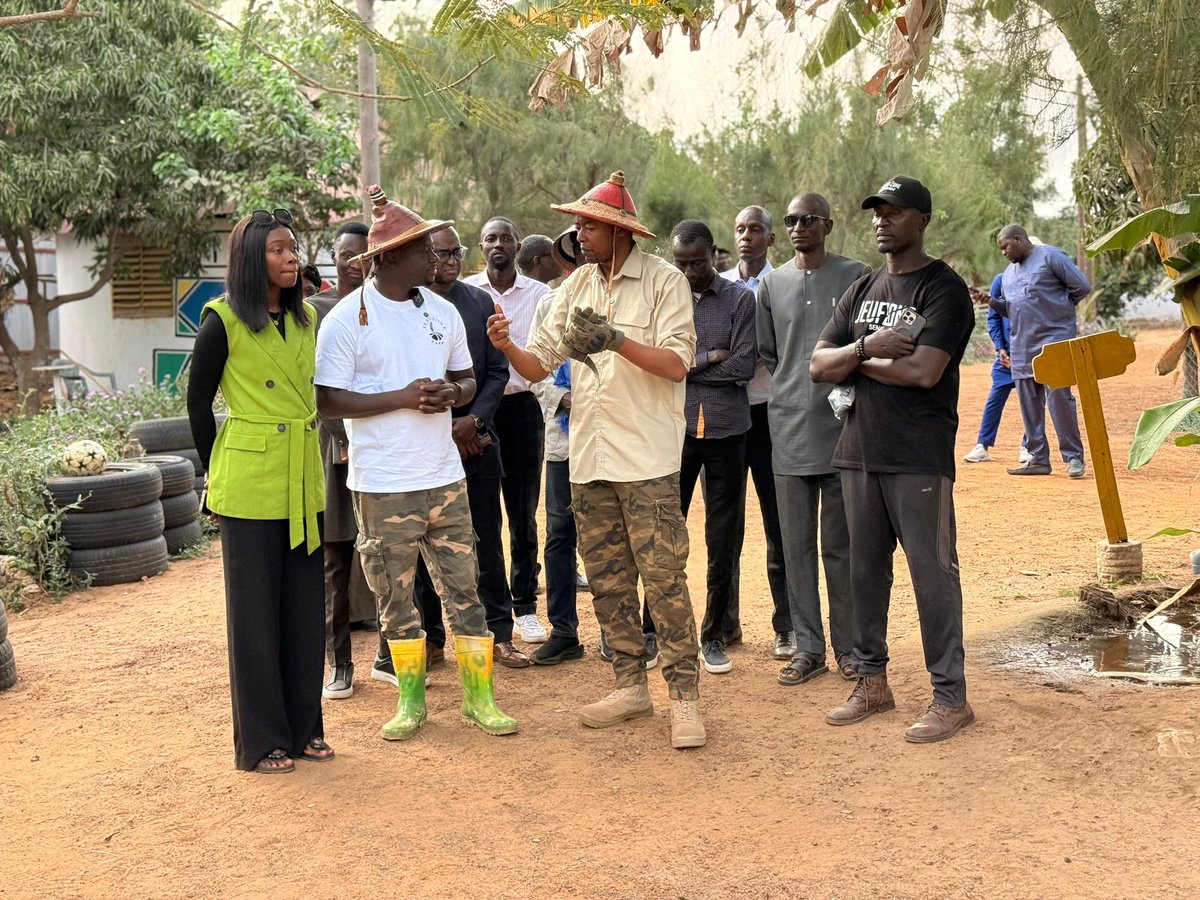 Alpha Thiam tweet media