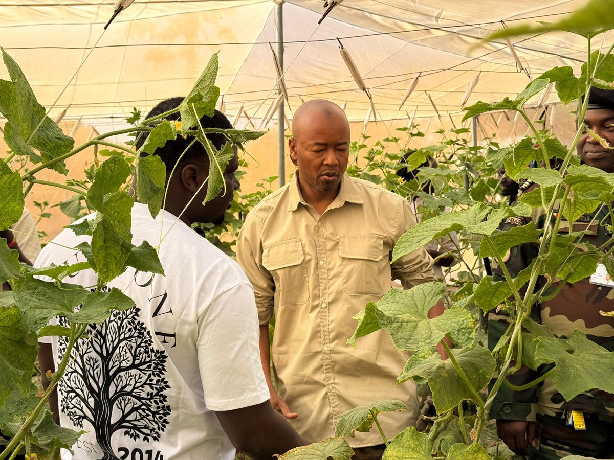 Alpha Thiam tweet media