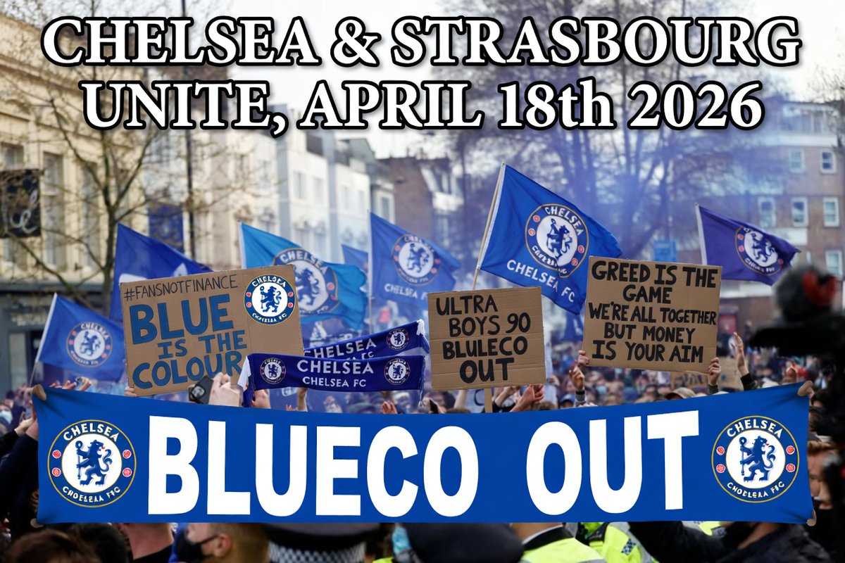 Steve G ⭐️⭐️🇬🇧 tweet media