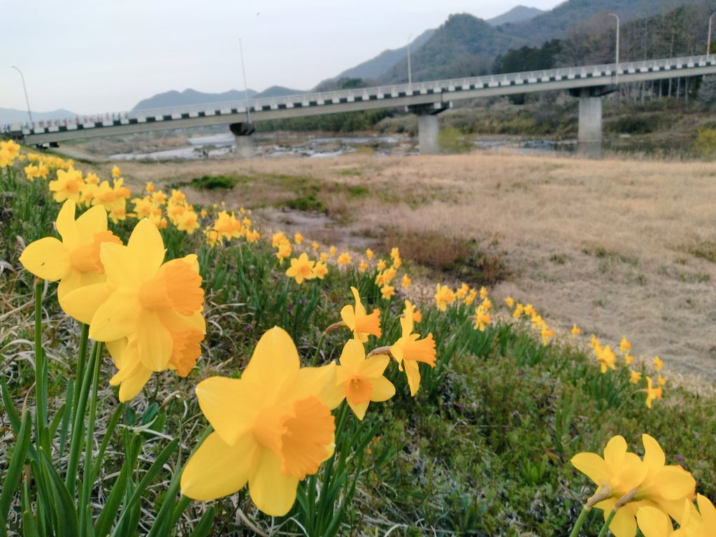 ゆっこ@9/20丹後ウルトラ100km tweet media