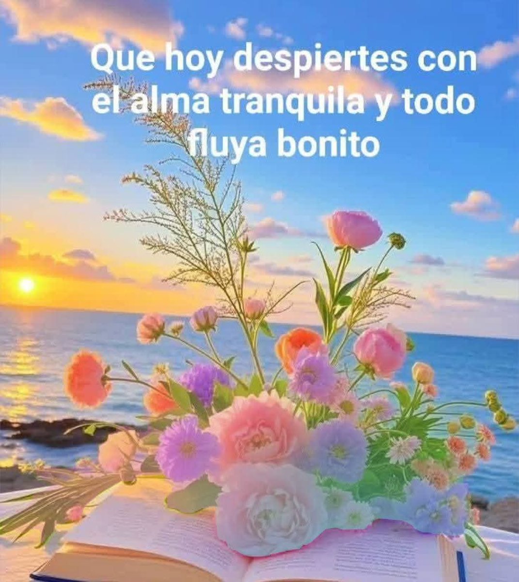 Ana Paula Cardemas Mejia tweet media