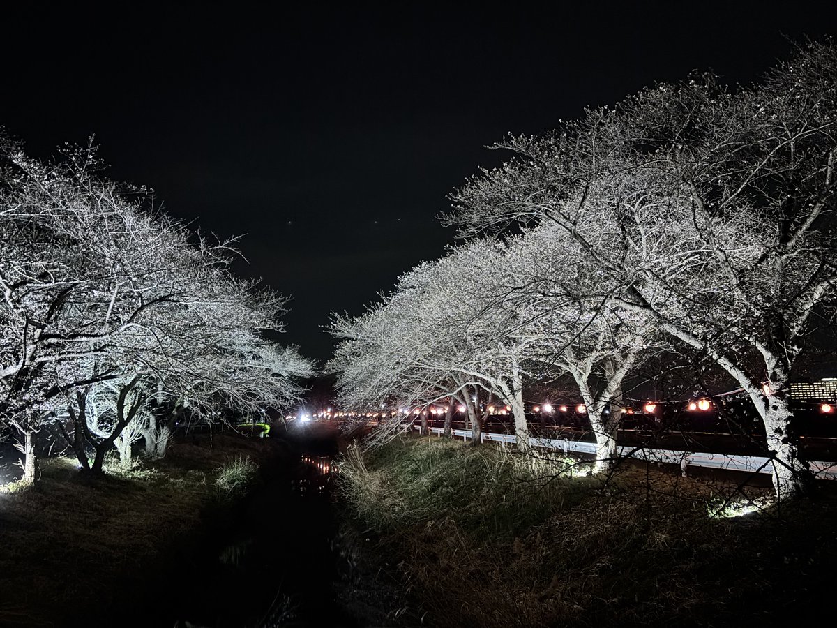 棗大福 tweet media