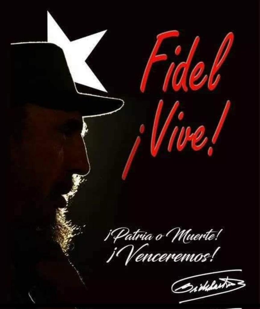 Fernando Guzmán Hermida tweet media