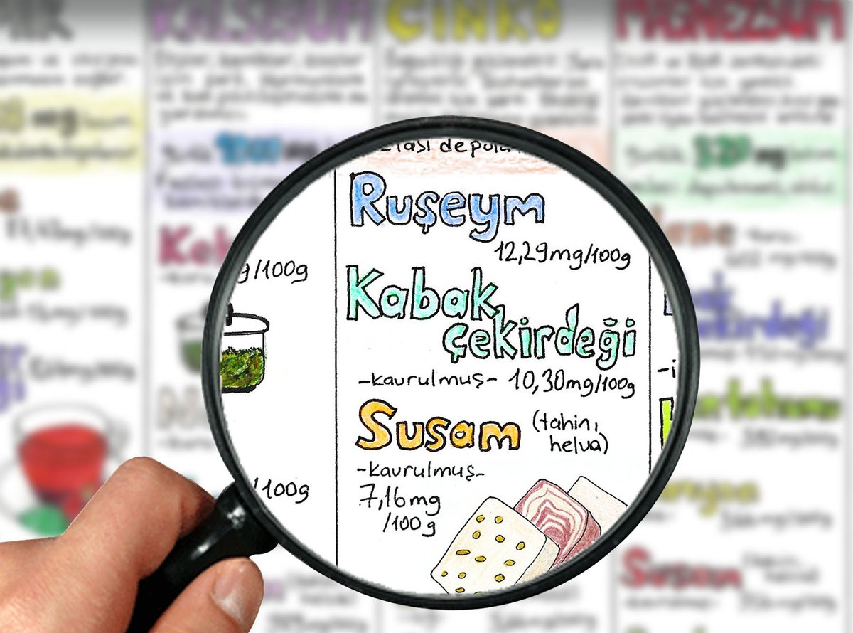 BurHak - Hayvan Hakları Merkezi tweet media