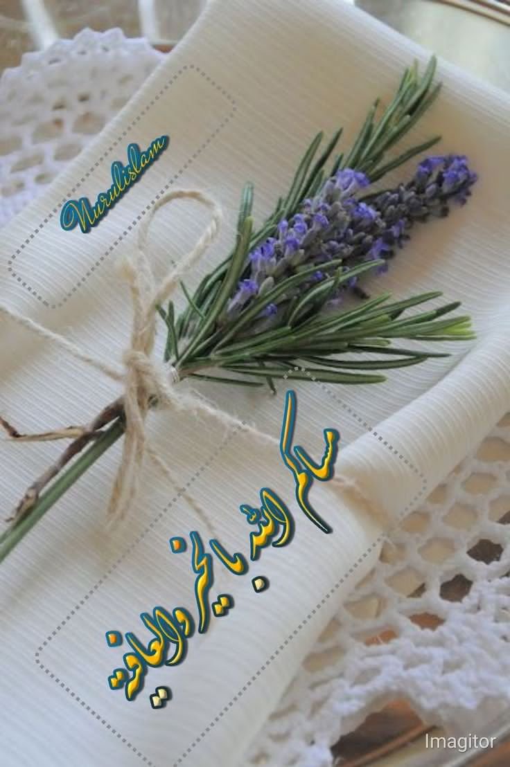 🇴🇲Rahaf🇴🇲 tweet media