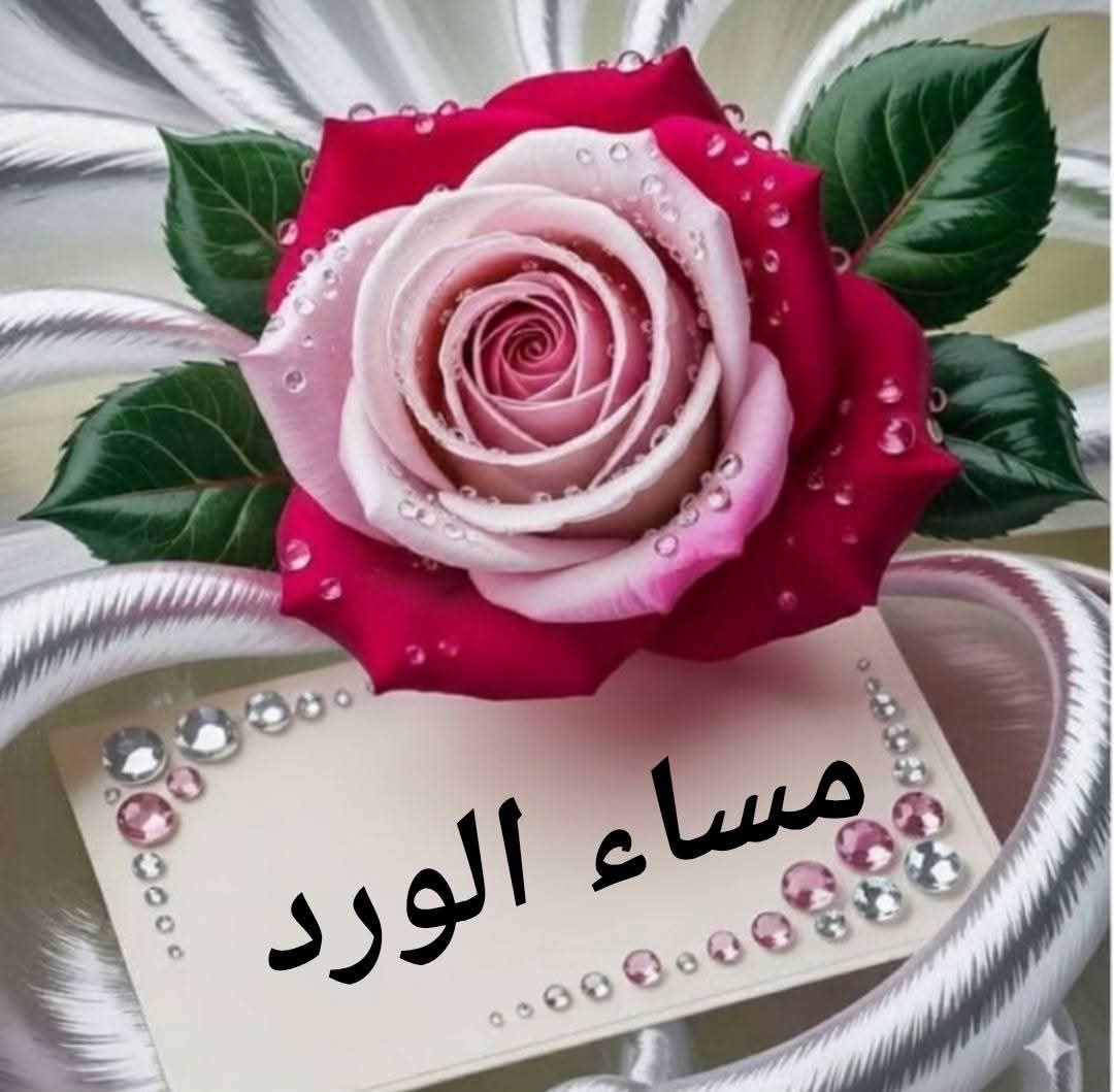 سليمان العتيق tweet media