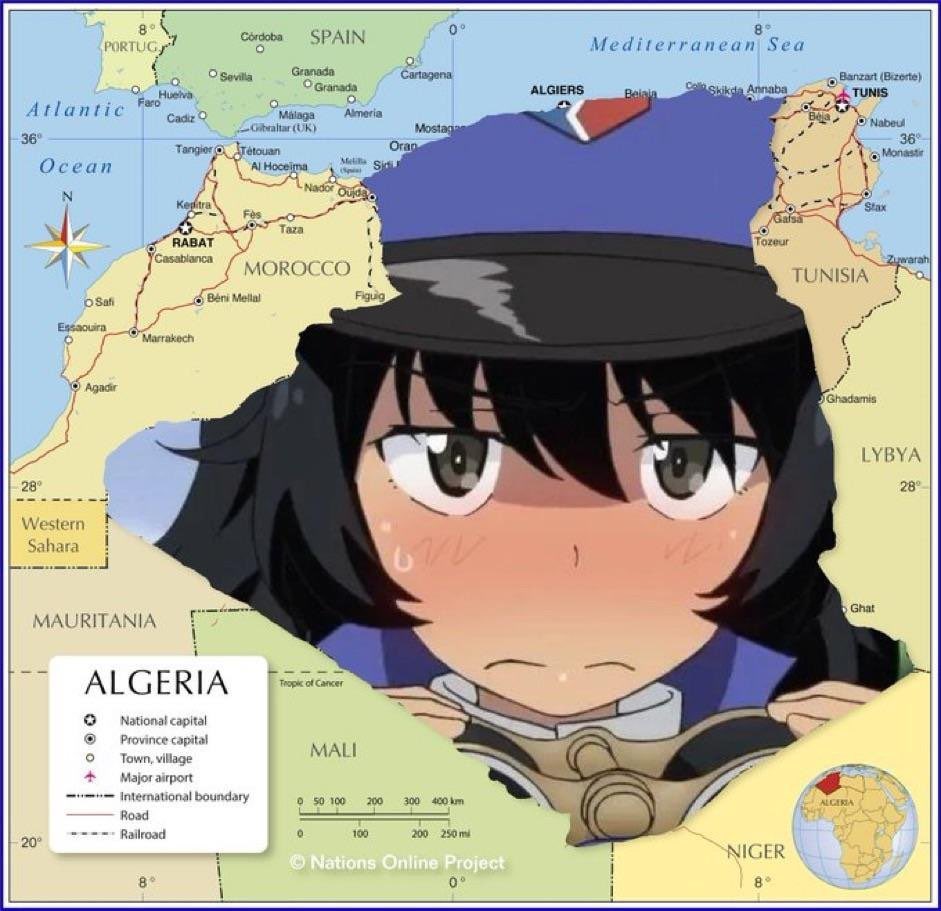 Perroquit 🇩🇿🇸🇳 tweet media