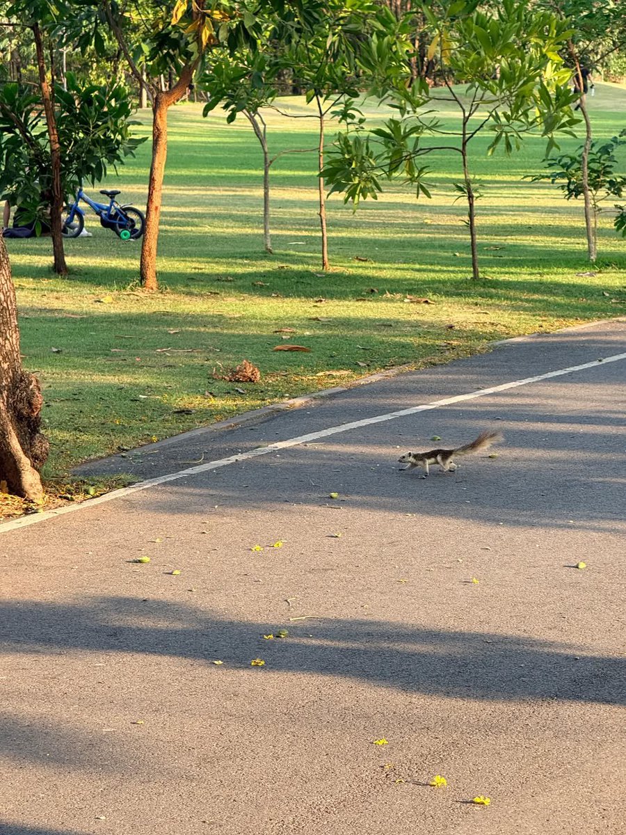 SINGCHIMON TREND tweet media