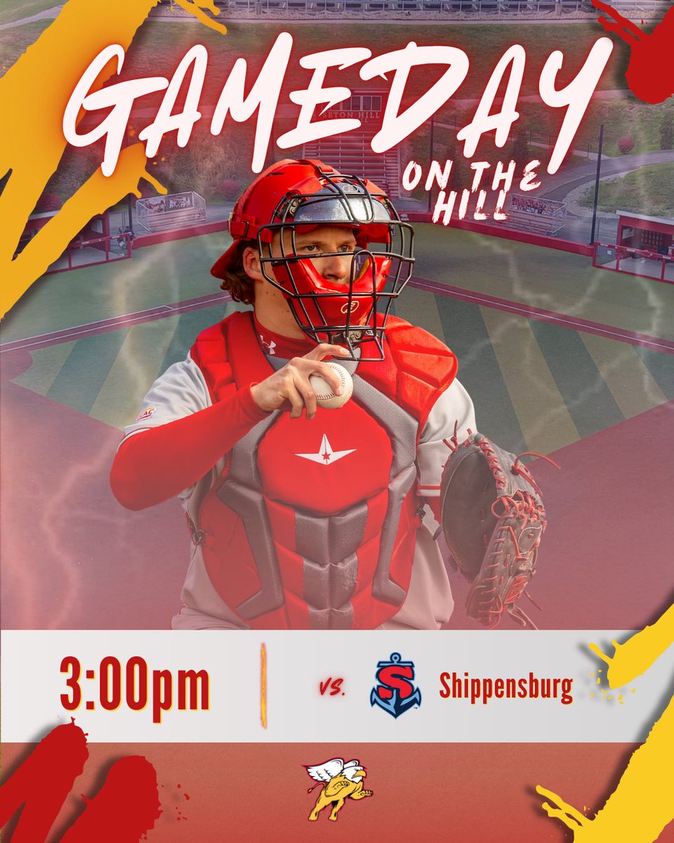 Seton Hill Baseball tweet media