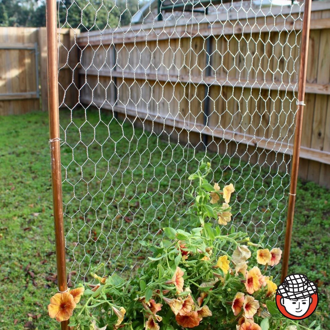wireclothman's tweet image. It’s almost that time of year again! 🐔🌱

Stock up on chicken wire to protect your garden from pests, keep your plants safe, and add structure to your garden beds.

Order now: hubs.la/Q044bD000

#AskWireClothMan #ChickenWire #GardenProtection #GardeningEssentials #WireMesh