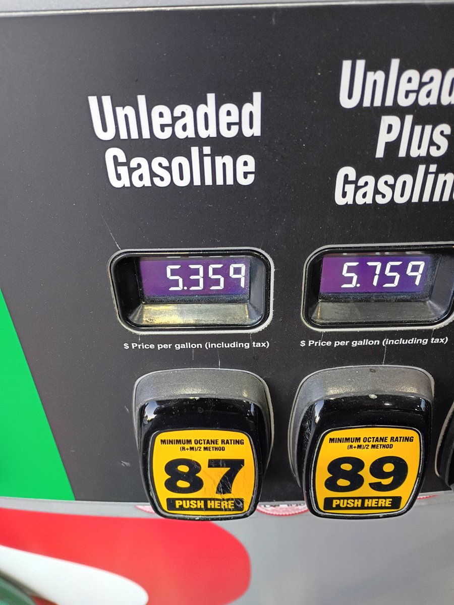 Lutra Gaming (OtterPops) 🦦 tweet media