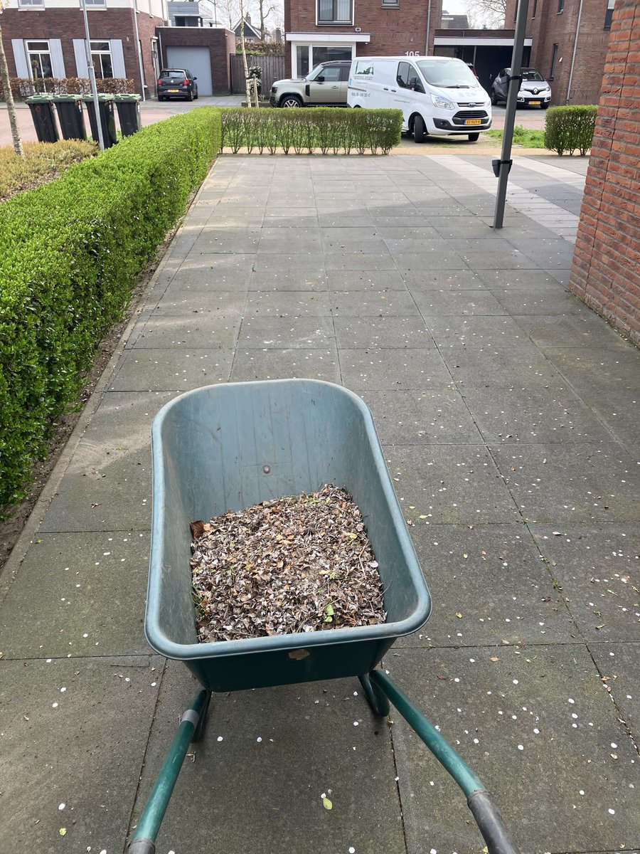 Beautiful Garden tweet media