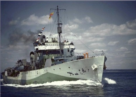 Maple Leaf Navy tweet media