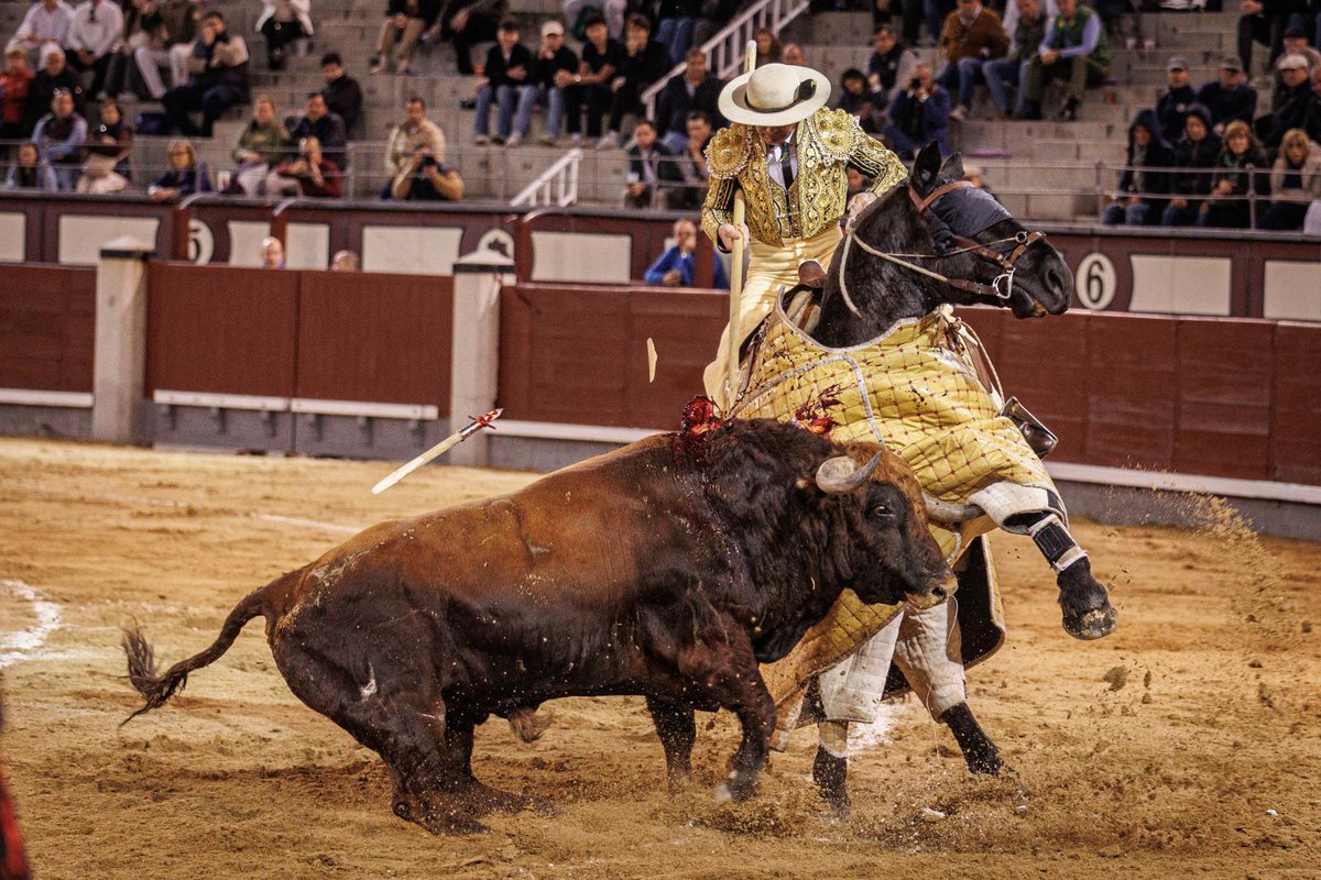 Rosario Pérez tweet media