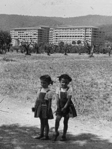 Ton Tolero tweet media