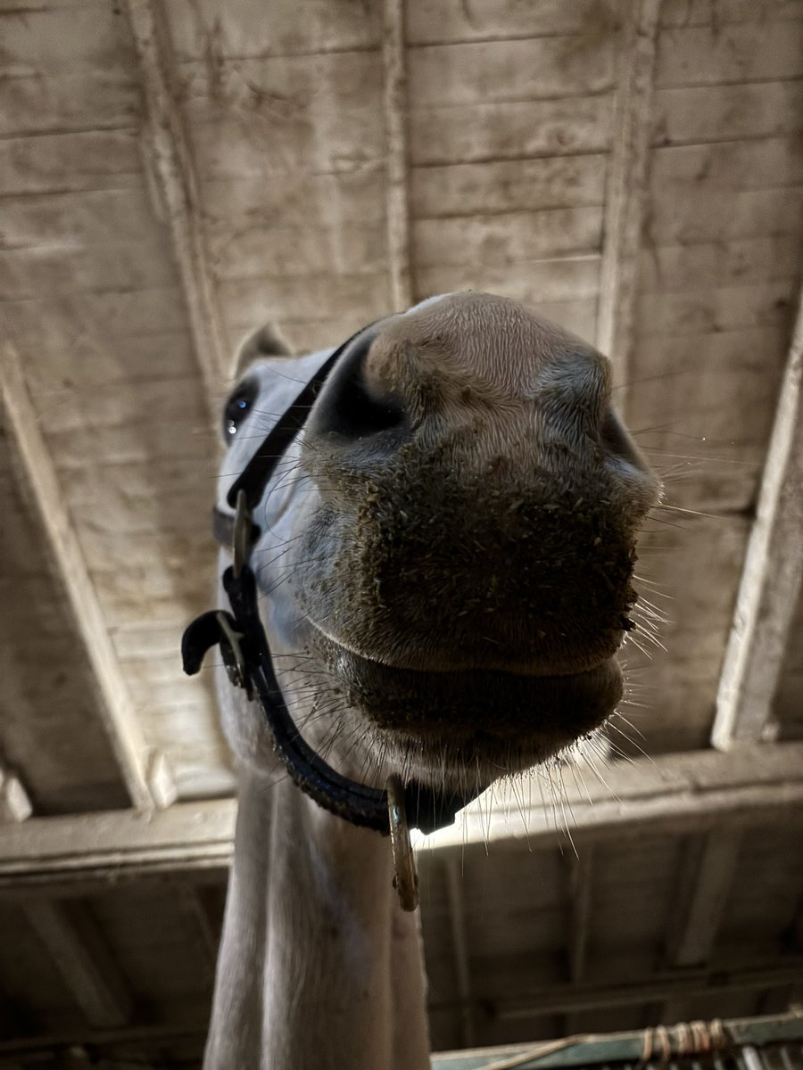 Leah Vasquez tweet media