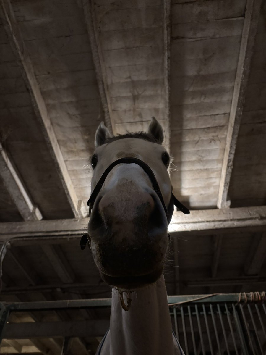 Leah Vasquez tweet media