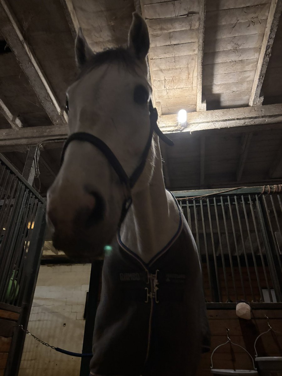 Leah Vasquez tweet media