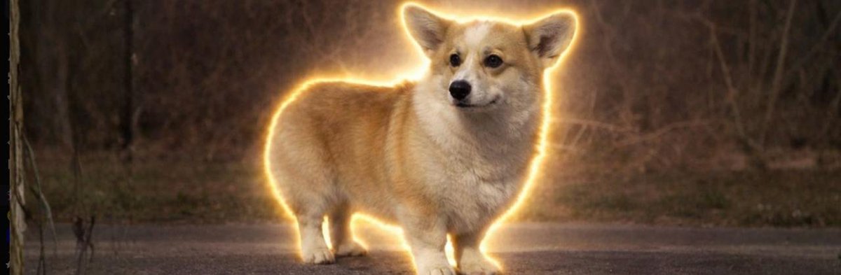 Starlight Crypto 🇦🇪 tweet media