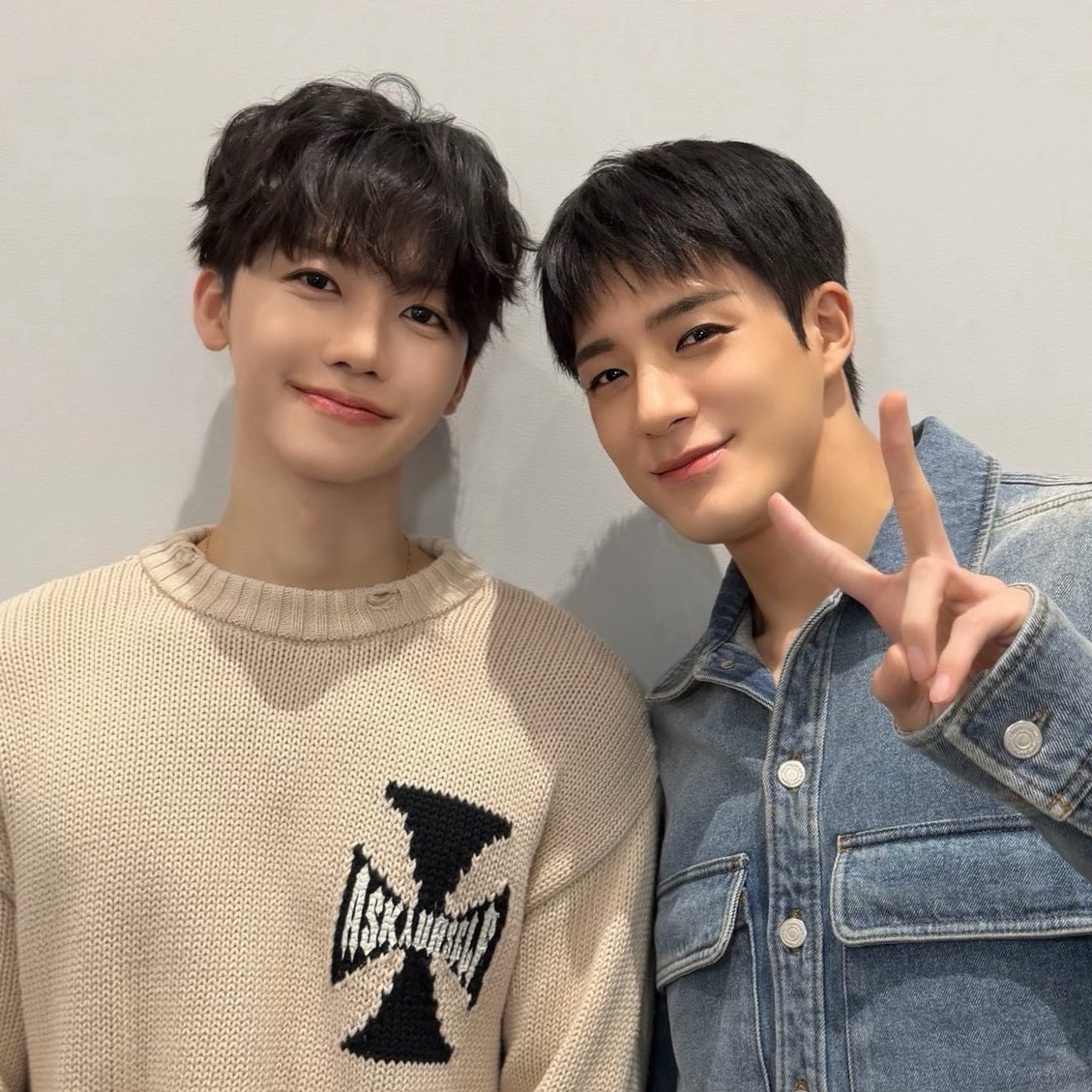 👍🐱👍🐶                          🐱🐶✌️