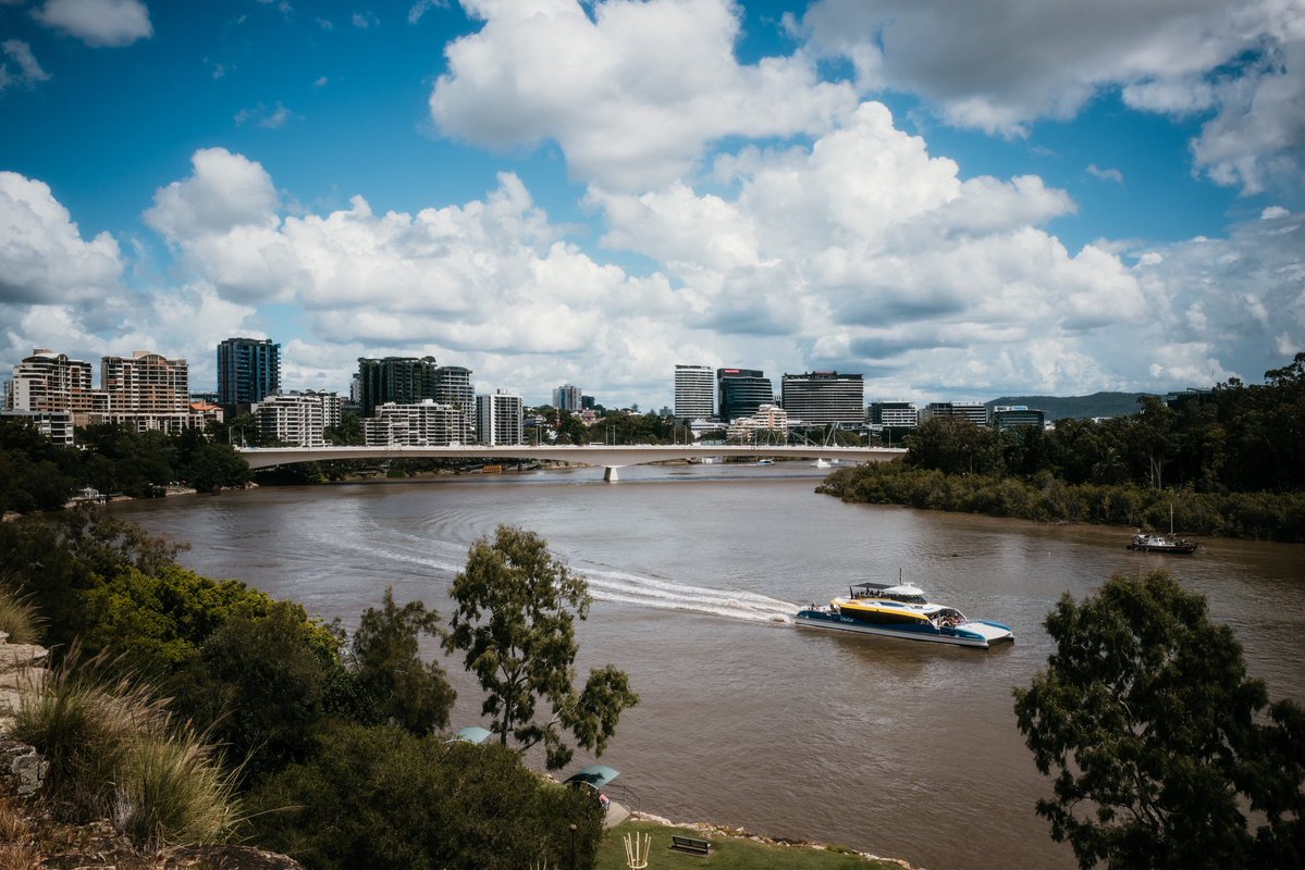 CJ Masciantonio tweet media