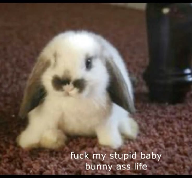 i drink soup tweet media