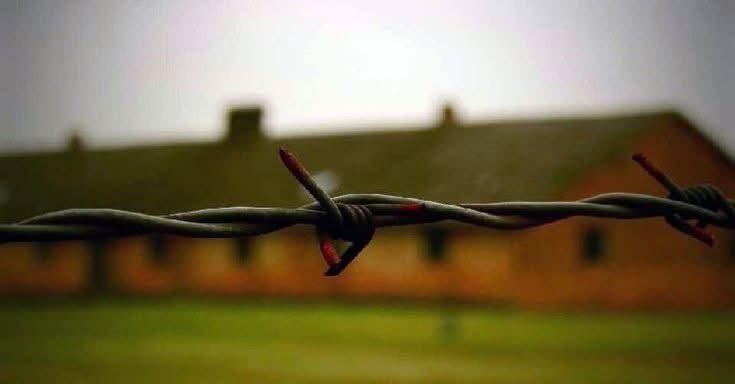 نوائے خیال tweet media