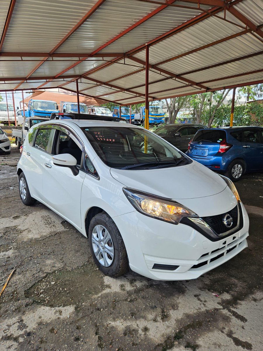 JENAMI ISAAC (CHIEF MTEKEDZA) tweet media