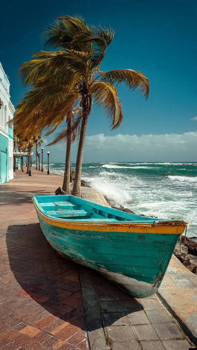 🦂Janne🤎🩶 tweet media