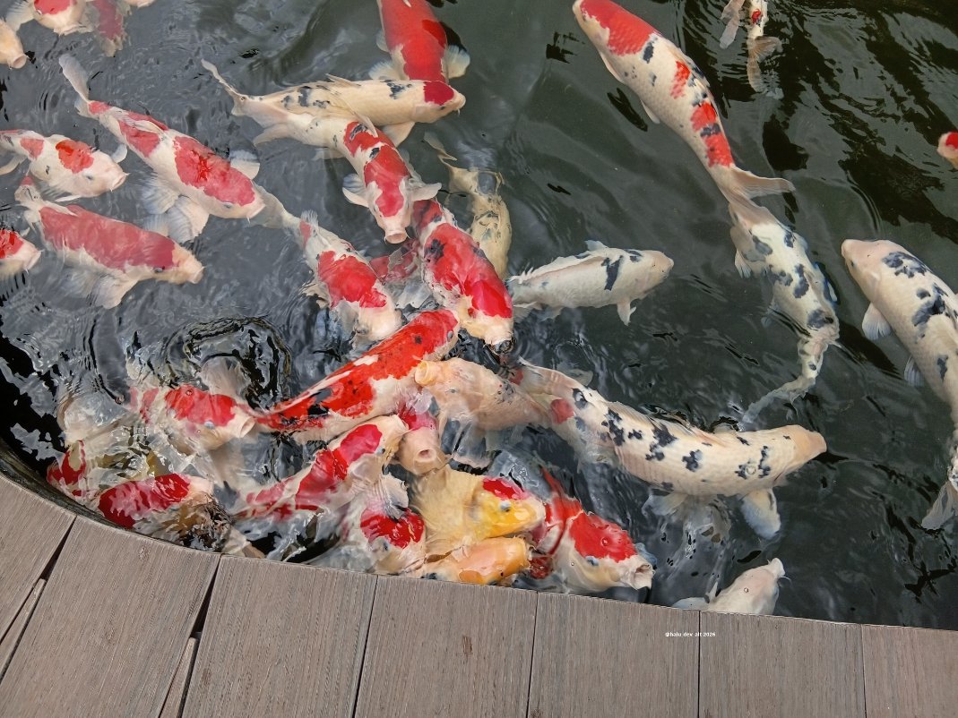 Rahman 🍉🫂 tweet media