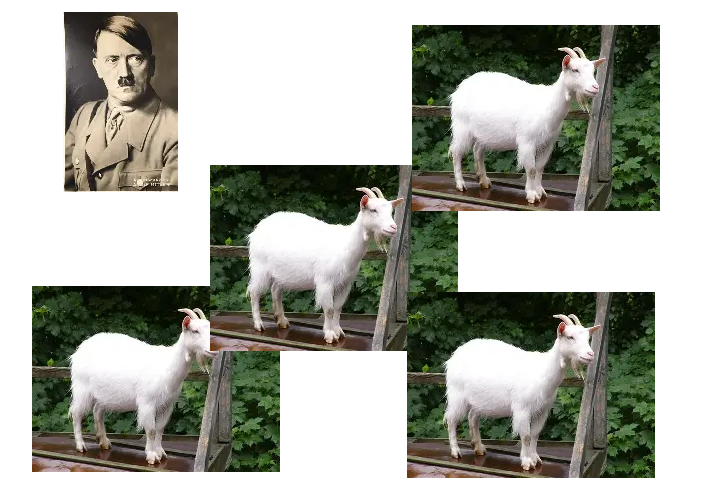 hannah ΘΔ tweet media